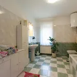 Appartement Anica Stinjan Pula
