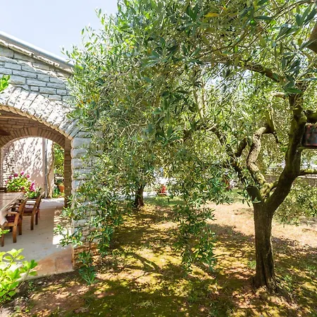 Anica Stinjan Apartment