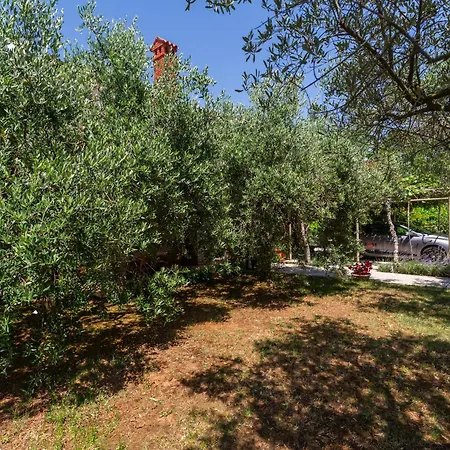 Anica Stinjan * プーラ