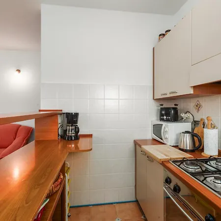 Anica Stinjan プーラ