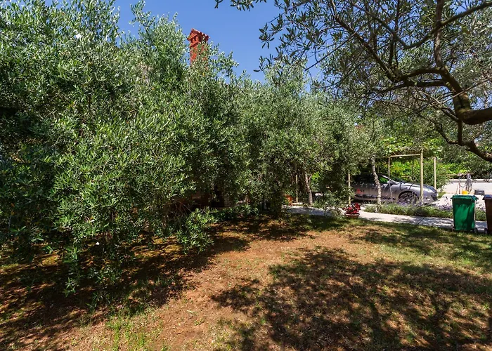 Anica Stinjan * Pula